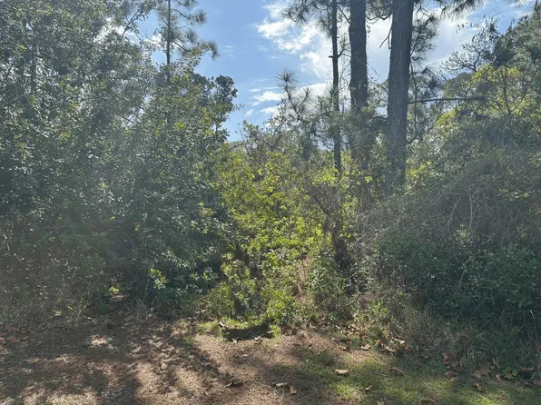 229 Caswell Lane, Lake Placid, FL 33852