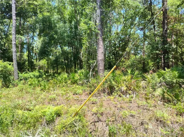 LOT NE 66th Ct #A, Citra, FL 32113