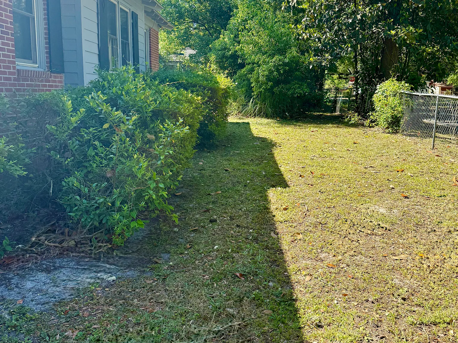 3 bed, 1155 sqft, $1,395 — Photo 4