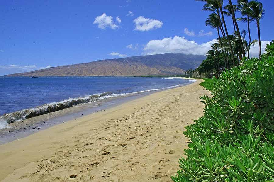 Sugar Beach Kihei