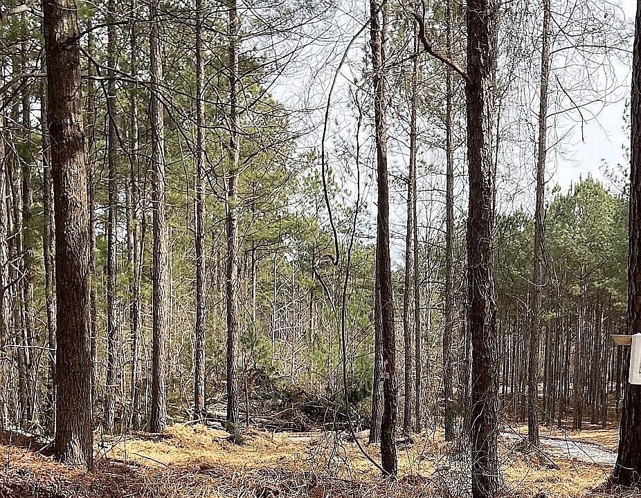 2nd image of LOT 4 Jaxon Path