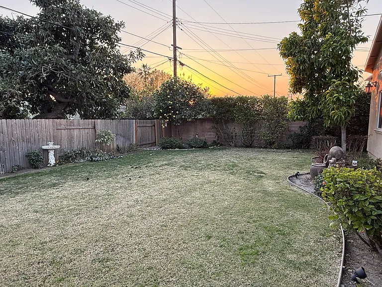Very Spacious Back Yard