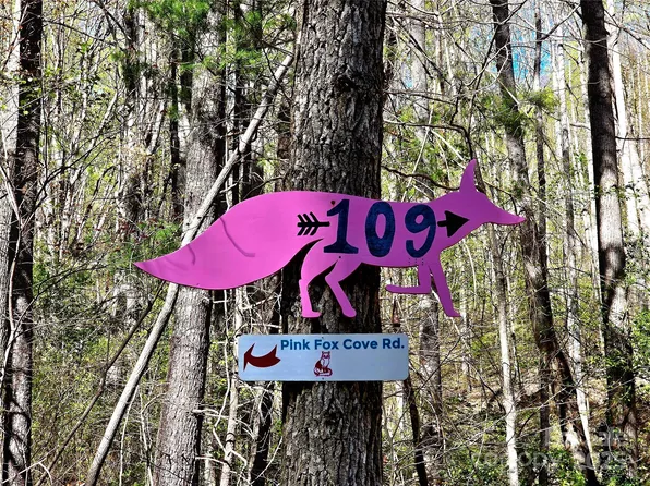 99999 Pink Fox Cove Rd, Weaverville, NC 28787