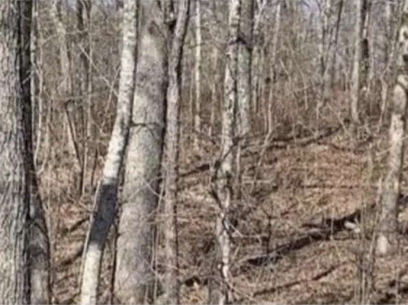 0 W Ridge Rd, Pikeville, TN 37367