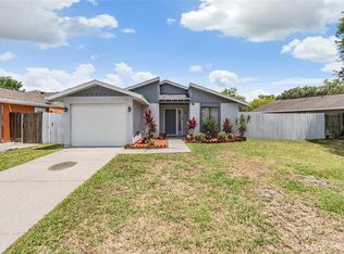 12335 Cloverstone Dr, Tampa, FL 33624