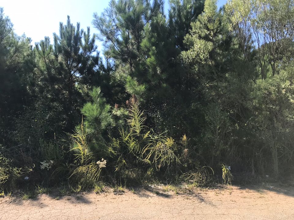 2nd image of 8642 Webb Rd Lot 18