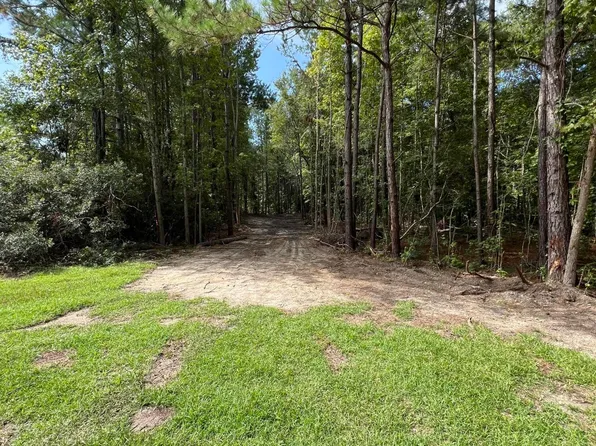 LOT 7 Wisteria Falls Trl, Saint Stephen, SC 29479