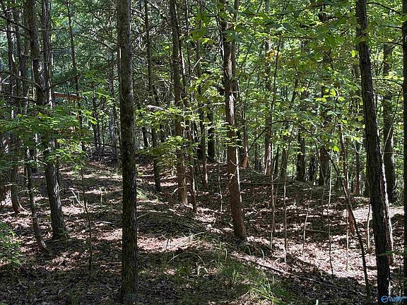 5th image of 1500 County Road 103 Lot 53