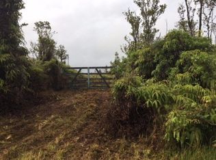 11-2469 Omeka Rd LOT 27, Volcano, HI 96785