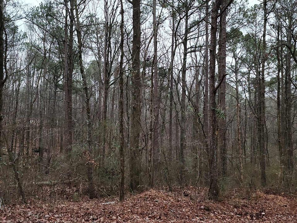 2nd image of 0 County Road 1194
