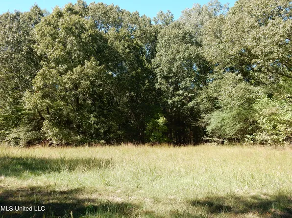 4 N Crockett Rd Lot 4, Senatobia, MS 38668