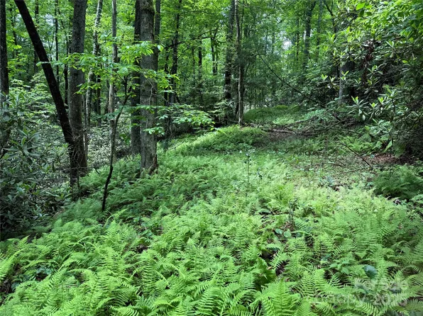 Caroline Ln #7R, Pisgah Forest, NC 28768