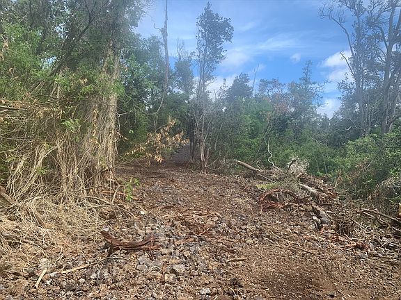 5th image of Paradise Pkwy Lot 14