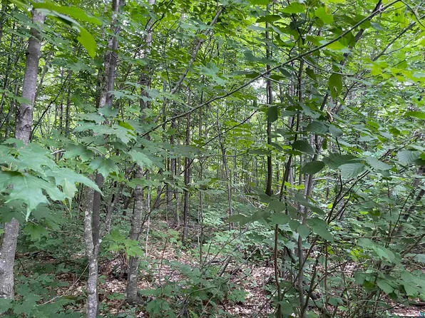 3 Jonvick Rdg, Lutsen, MN 55612