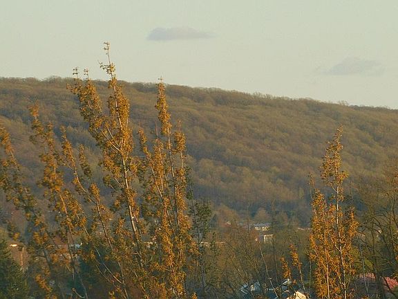 A Long range view