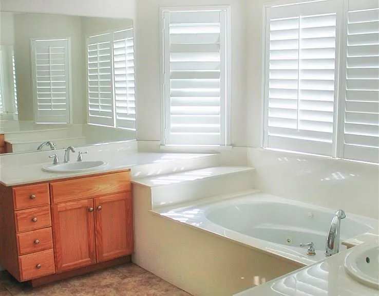 Master bathroom with tub and separate shower
