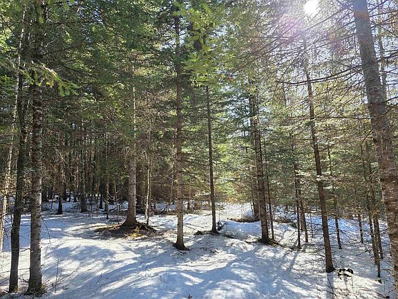 3rd image of 000 Old Coach Road #5