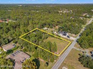 11039 Fulton Ave, Weeki Wachee, FL 34613