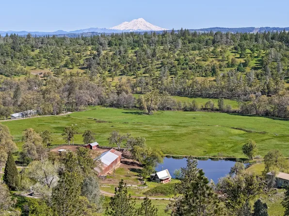 9568 Blue Mountain Ranch Rd, Whitmore, CA 96096