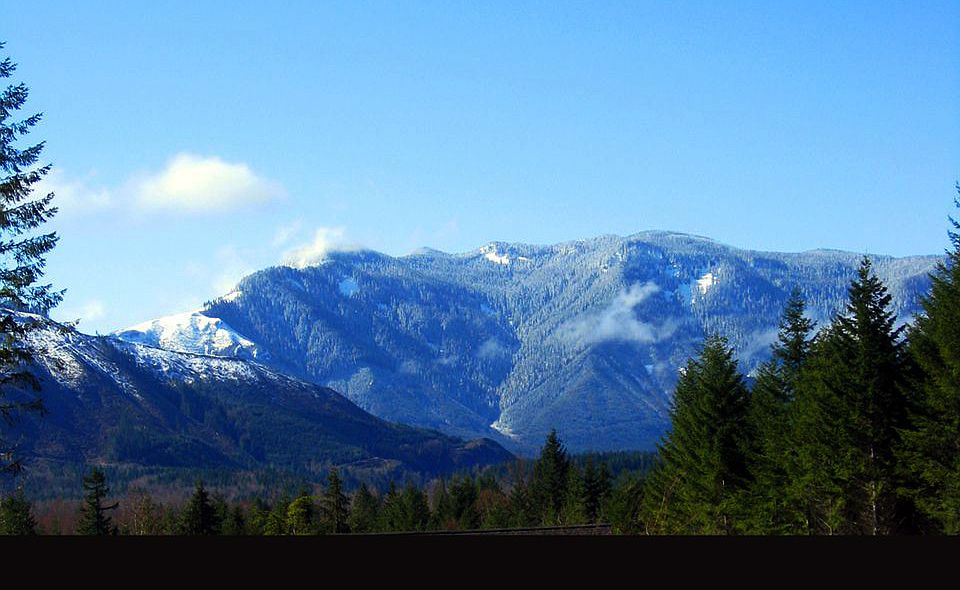 View from house