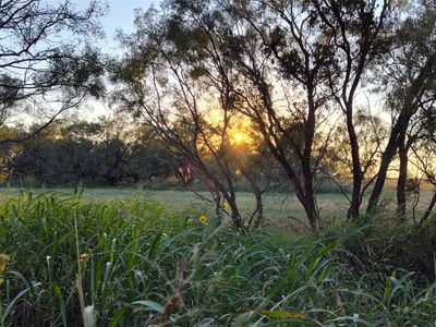 5428 County Road 364, Anson, TX, 79501
