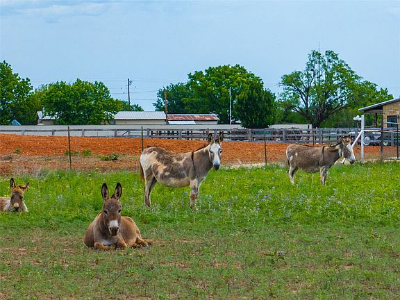 2nd image of Fm 2404