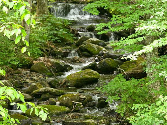 Rushing mtn stream in back