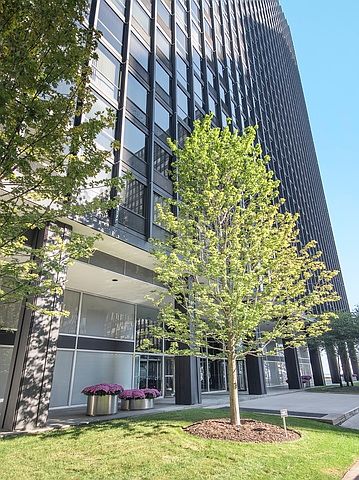 1st image of 900 N Lake Shore Dr APT 601