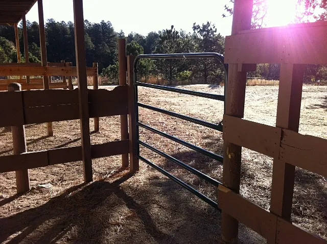 Black Forest Horse Property — Photo 3