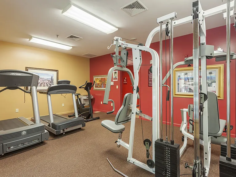 Fitness Center with Cardio and Free Weights