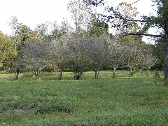 5th image of 131 County Road 819