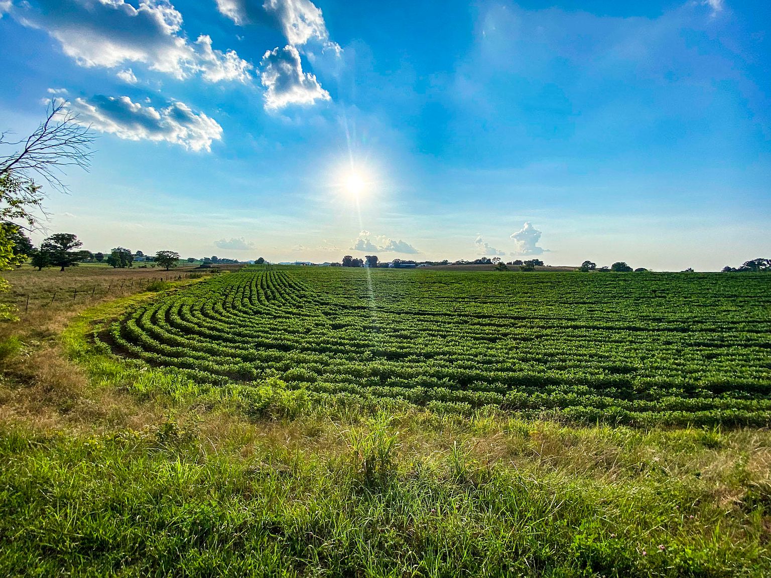 2 Flat Gap Rd, Jefferson City, TN 37760 Zillow