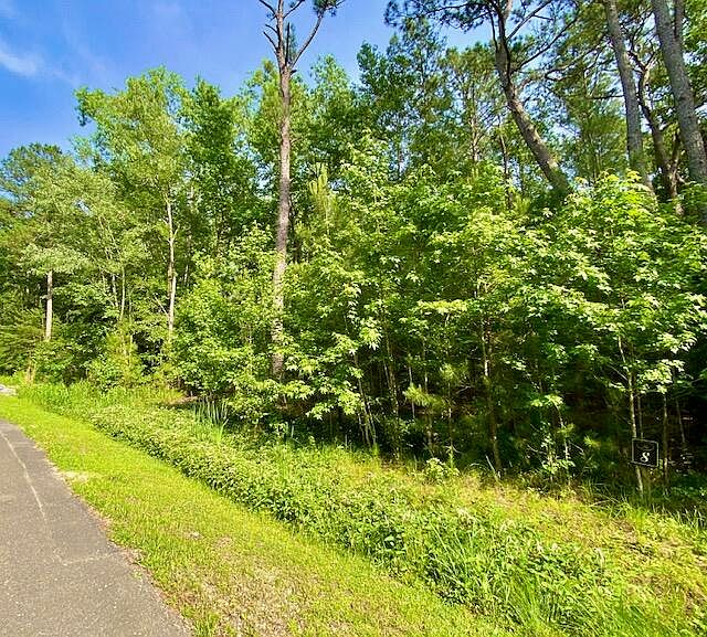 2nd image of 6301 Buttonbush Dr Lot 8