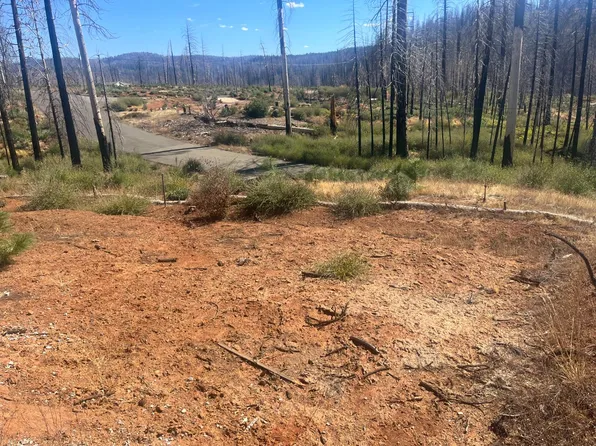 5241 Golden Aspen Dr, Grizzly Flats, CA 95636