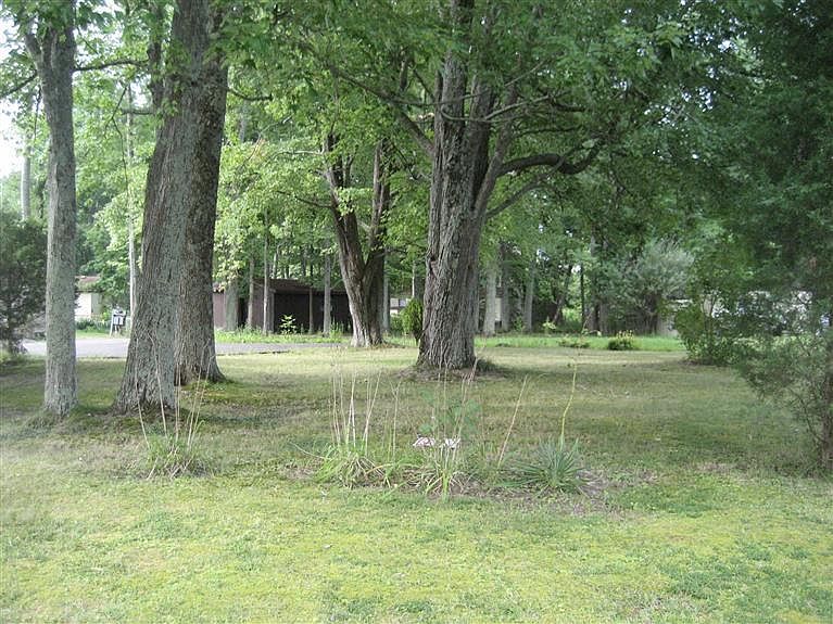 1st image of 12002 Beech Trl