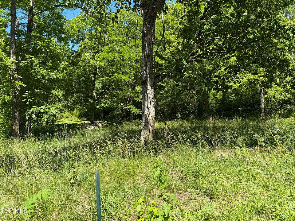 2nd image of 0 Roan Creek Rd