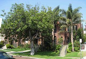 ご予約分orange 2009 Kawasaki Ninja ZX-14 | Motorcycle.com