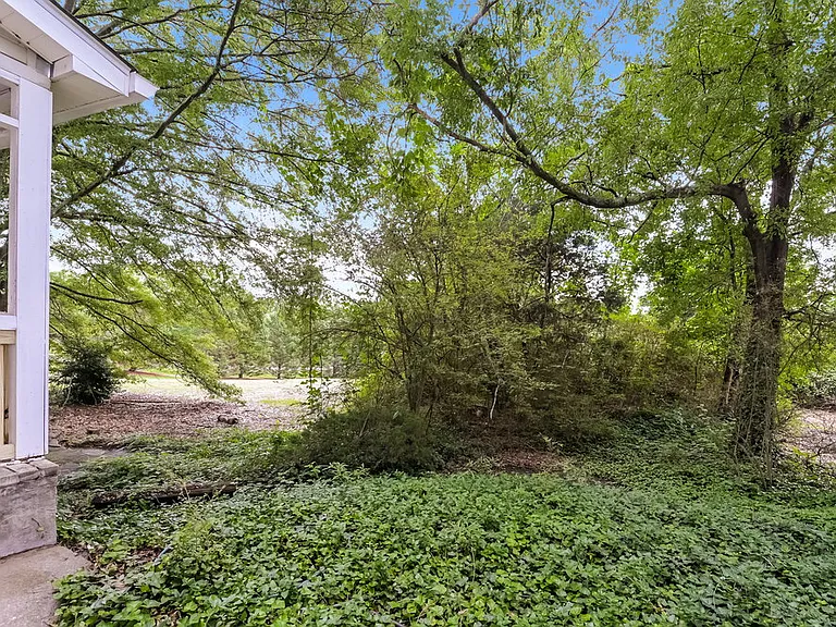 521 Sequoia Ct — Photo 17