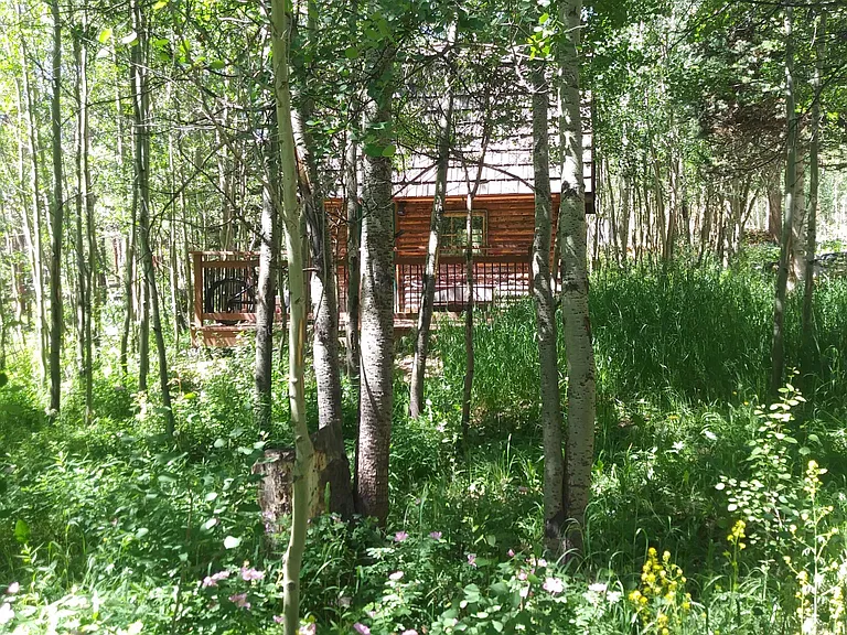 38 Skicrest Ln #CABIN — Photo 13