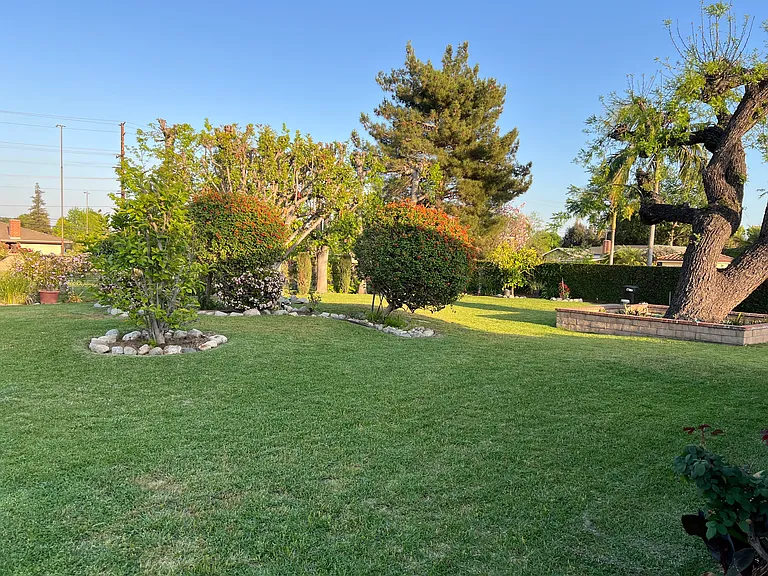 Walnut Ave — Photo 25