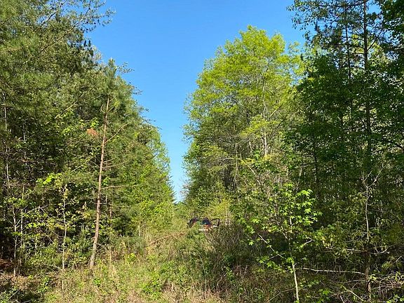 3rd image of N Of Hwy #27