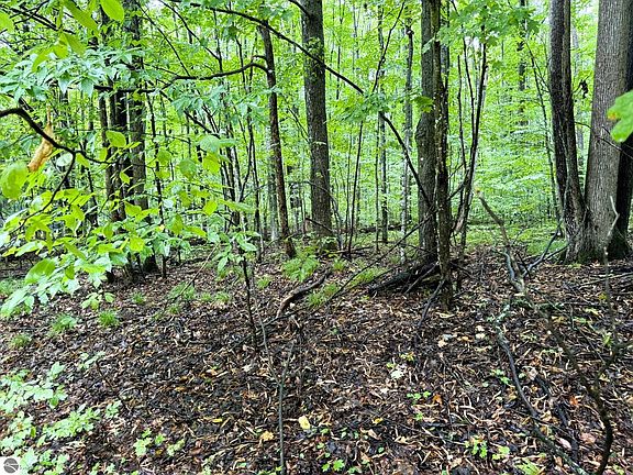 5th image of Lots 331 332 Edelweiss Dr Lot 331332