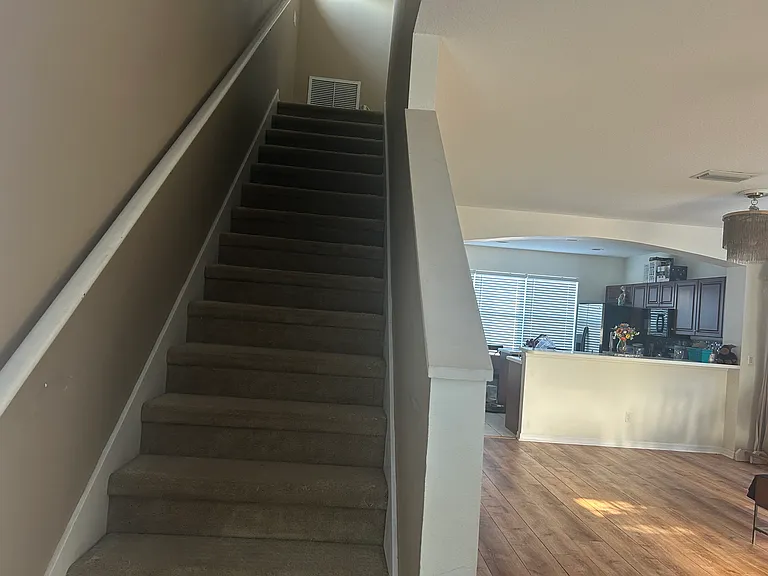 4812 Forest Creek Trl — Photo 10