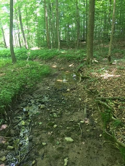 2nd image of 5171 Township Road 179