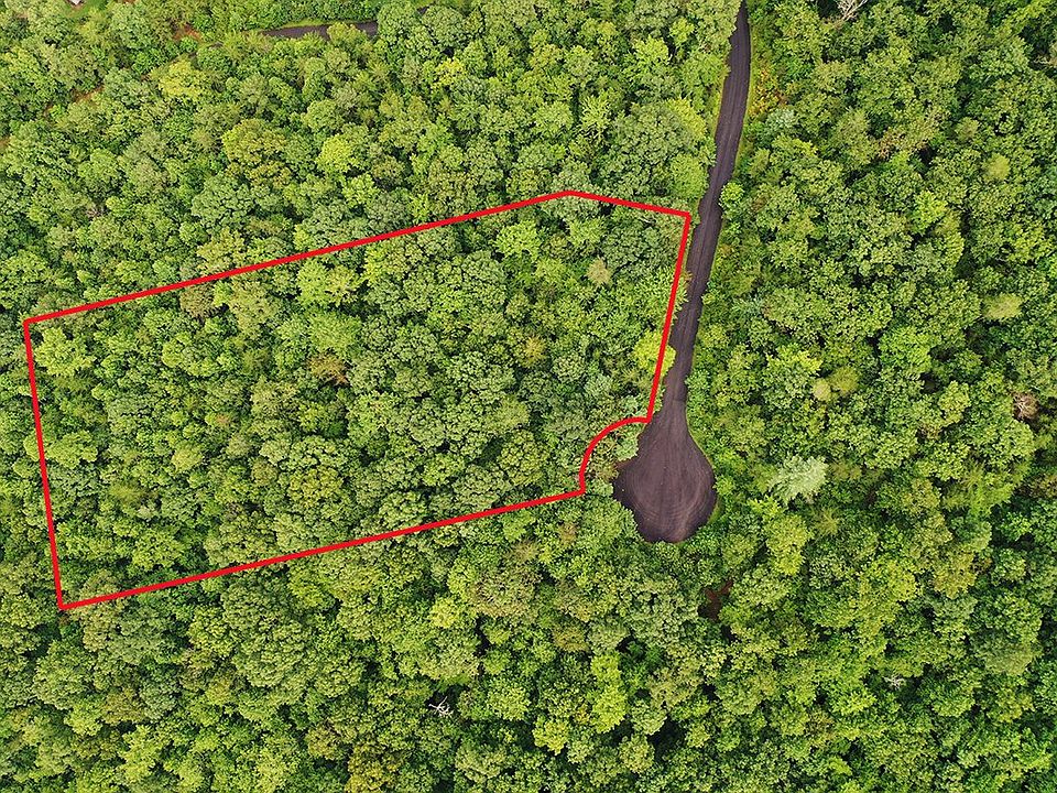 1st image of 4 Black Bear Trl