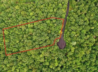 4 Black Bear Trl, Ellijay, GA 30536
