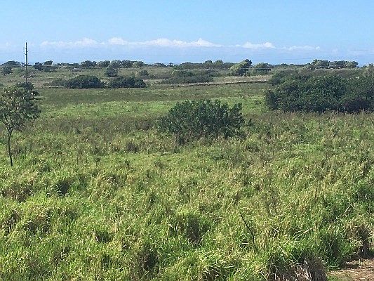 2nd image of Mamalahoa Hwy Lot 2
