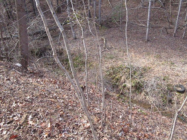 2nd image of 8595 Starlight Ln