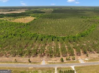 0 Dewey Thomas Rd LOT 3, Dexter, GA 31019