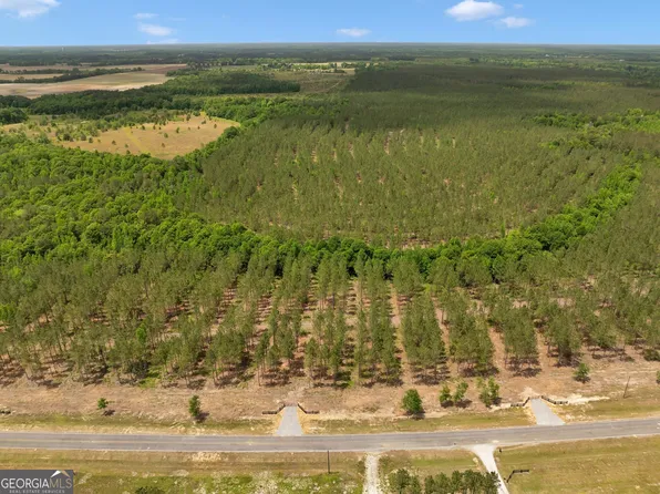 0 Dewey Thomas Rd Lot 3, Dexter, GA 31019